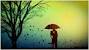 Rain Green Nature Images Hd