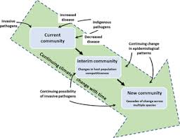 All methods of measuring temperature changes are based on the ways in which materials change physically when heated. Climate Change And Disease In Plant Communities