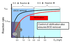 Activated Sludge Three Steps To Improve Your Process