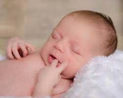 Wendy Klein Photography