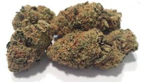 Cookies n cream x platinum yeti: 21 Of The Best Ideas For Christmas Cookies Strain Best Diet And Healthy Recipes Ever Recipes Collection