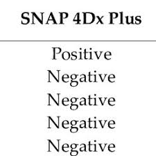 Rossella panarese lavora a radio3. Rossella Panarese Universita Degli Studi Di Bari Aldo Moro Bari Universita Di Bari Dipartimento Di Medicina Veterinaria