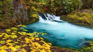 Sahalie falls is part of the mckenzie river waterfalls loop trail. Mckenzie River Trail Oregon Hikers