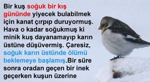 Bir Kus Soguk Bir Kis Gununde Yiyecek Bulabilmek Icin Kanat Cirpip Duruyormus Hava O Kadar Sogukmus Ki Minik Kus Dayanamayip Karin Ustune Dusuvermis C