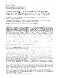 PDF) The Neurotransmitter VIP Expands the Pool of Symmetrically Dividing  Postnatal Dentate Gyrus Precursors via VPAC(2) Receptors or Directs Them  Toward a Neuronal Fate via VPAC(1) Receptors