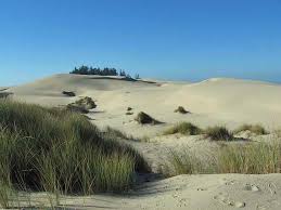 Offroad touring, atv tours, jeep/other offroad. Oregon Dunes National Recreation Area Gypsy Journal Rv Travel Newspaper