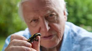 Natuurverschijnsel' David Attenborough stond ooit oog in oog met een horde  schreeuwende kannibalen