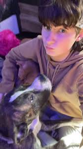 Lost Dogs in Northridge, Ohio