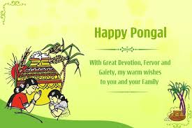 The festival of pongal marks the beginning of the first month of the tamil calendar. Happy Surya Pongal 2021 Images Hd Pictures Ultra Hd Photographs High Quality Photographs High Resolution Photos And 4k Dp