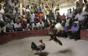 38 Important Facts About Haiti The Fact File
