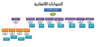 صورة ذات صلة periodic table diagram