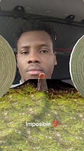 Stetson (@stetson.charles)