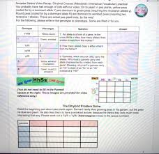 Monohybrid cross problems worksheet with answers best the law from monohybrid cross worksheet answers , source: Solved 000 Amoeba Sisters Video Recap Dihybrid Crosses Chegg Com