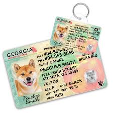 I am a portuguese citizen and want to go there with national id card. Georgia Driver License Custom Pet Id Tag And Wallet Card 1 Cute Pooch
