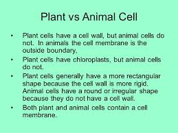 We did not find results for: Parts Are Parts And Together They Are Life Ppt Download