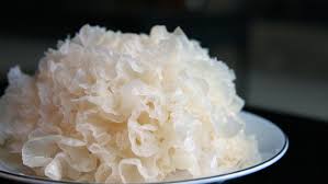 It grows in tropical, subtropical and temperate climates. 7 Health And Beauty Benefits Of Tremella Mushroom Further Food