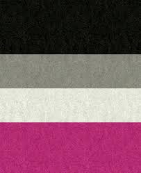 Black And White Flag Meaning Sexuality Pin On Pride