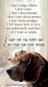 This Is Why I Love Dogs And What They Enrich My Life With They Can Inspire The Very Best In Ways To Interact In All Our Relations Dogs I Love Dogs