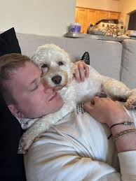 If anyone ever has doubts about how our great fosters care for their dogs  doesn't this just make your heart smile? ♥️ Every picture tells a story!  This is little CHLOE ,