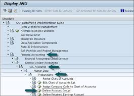 sap fi coa group tutorialspoint