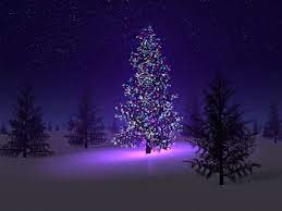 Here is another similar shot i took that night. Christmas Tree Wallpaper Best Christmas Lights Christmas Desktop