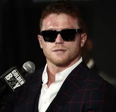 "Absolutely Pointless": Fans Rip Into Canelo Alvarez Following  'Disgraceful' Announcement