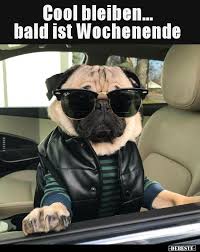 Last ned slående gratis bilder om cool. Cool Bleiben Bald Ist Wochenende Lustige Bilder Spruche Witze Echt Lustig