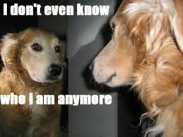 Every Time I Look Into The Mirror Meme By Tex Memedroid