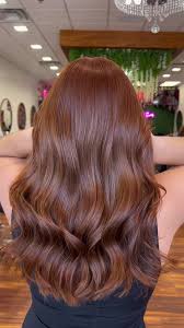 Image result for Copper Tan Cocoa Brown 1968 Westinghouse