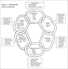 A Detailed Version Of The Chain Of Infection Which Includes