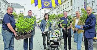 Lions Club hilft mit Ginkgo biloba