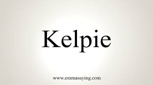 How To Pronounce Kelpie Youtube