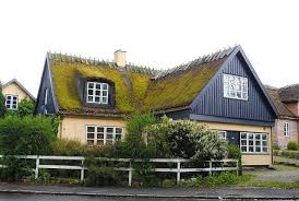 Go for an exploring tour on the roof of the new national archives at the the roof garden, called the green strip, is close to the harbour where you have direct view of the. Sod Roof In Copenhagen Sod Roof Green Roof Living Roofs