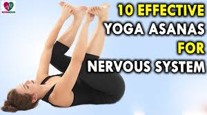 We did not find results for: 10 Effective Yoga Asanas For Nervous System Health Benefits Of Yoga Youtube