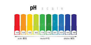 The Ph Color Scale Stock Illustration Illustration Of
