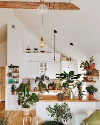 O Que Voce Acha De Plantas Na Cozinha Qual Voce Prefere Versao 1 Com Plantas Ou 2 Sem Plantas Me Conta Aqui F Decoracao Quarto Pequeno Cozinhas