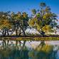 Mildura Riverfront Marathon Festival event image