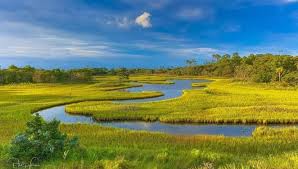 Residential trash customers can schedule free bulky item collection with the city's trash collector, rainbow environmental/republic services. Celebrate Earth Day By Cleaning Up Beaufort S Waterways Explore Beaufort Sc