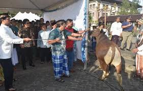 Apr 23, 2019 · contoh sambutan ketua panitia di setiap acara yang sedang kalian adakan pasti ada sambutan sambutannya begitu juga dengan sambutan ketua panitia yang menyelenggarakan jika anda baru pertama kali mengadakan acara dan harus mengisi sambutan sebagai ketua panitia tentu stres kecil nerves gugup dan lain sebagainya akan bercampur aduk. Bupati Giri Prasta Serahkan Hewan Qurban Idul Adha 1439 Hijriah Liputanbali Com