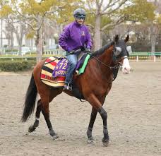 Read the rest of this entry ». äº¬çŽ‹æ¯sc å©ã3æˆ¦ç›®ã‚¿ãƒ¯ãƒ¼æœ¬é ˜ç™ºæ®ã  è—¤æ²¢å'Œå¸« é€Ÿã„é¦¬å ´ã§ã‚„ã‚ŠãŸã„ ã‚¹ãƒãƒ‹ãƒ Sponichi Annex ã‚®ãƒ£ãƒ³ãƒ–ãƒ«