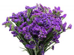 Peridot is one of only a handful of gems that are found in only one color. 16th Wedding Anniversary Gift Ideas Traditional Modern