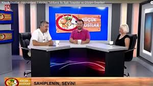 Hayvanlarin Evlerden Tahliyesi Sokak Hayvanlarinin Beslenmesi Cozum Onerileri Komsularla Sorun Yasayan Evcil Hayvanlar Tahliye Ve Benzeri Sorunlar Hukuk Haytap Hayvan Haklari Federasyonu
