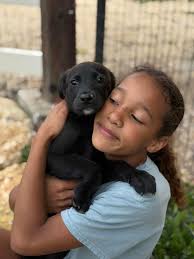 Here's Colorado Feral/ CF dog Bold enjoying fancy Kong. Kellie Secondo  stepped up to help and continue to foster the puppy Burbie and it couldn't  be better !!! They have been soooo