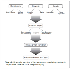Hypertency Pathophysiology Of Hypertension In Diabetes Mellitus