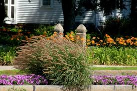 Check spelling or type a new query. 13 Flower Border Ideas
