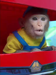 Me encontré una foto de mi hermano cuando estaba chikito🥰🤭🤣