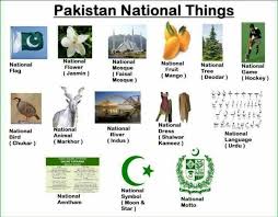 Pakistan National Things National Symbols National Flag Pakistan