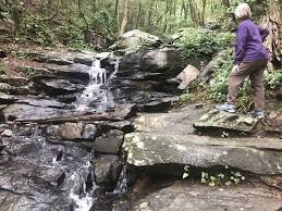 Pipestem resort state park is west virginia's premier family adventure resort. Georgia State Park Cabins Are Ideal Stops On Florida Road Trips
