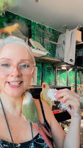 Stealing mangos toy. Tango and Pineapple get caught.