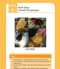Ringkasan buku sekolah kelas 9 (smp/mts) prakarya bab i kerajinan bahan keras pekerjaan hebat tidak dilakukan dengan kekuatan tapi dengan ringkasan buku sekolah kelas 10 (sma / ma) bahasa indonesia bab i menyusun laporan hasil observasi sebuah laporan hasil observasi dapat. Rangkuman Materi Prakarya Kelas 8 Bab 3 Portal Edukasi